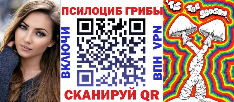 где купить наркотик  Медынь  Псилоцибиновые грибы Magic Shrooms 
